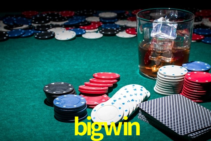 Programa VIP bigwin